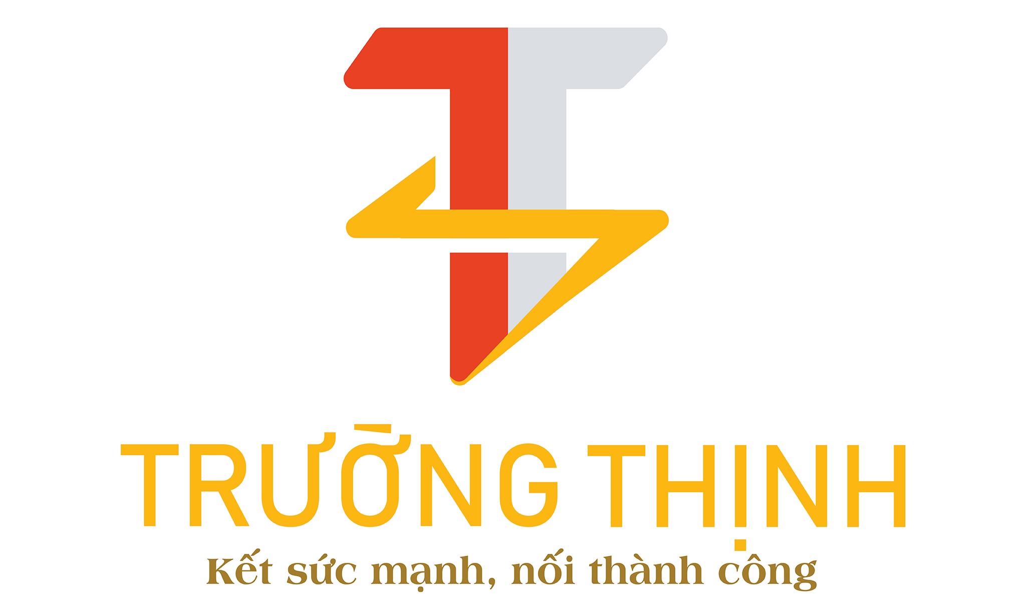 TRUONG THINH ELECTRIC CO.,LTD